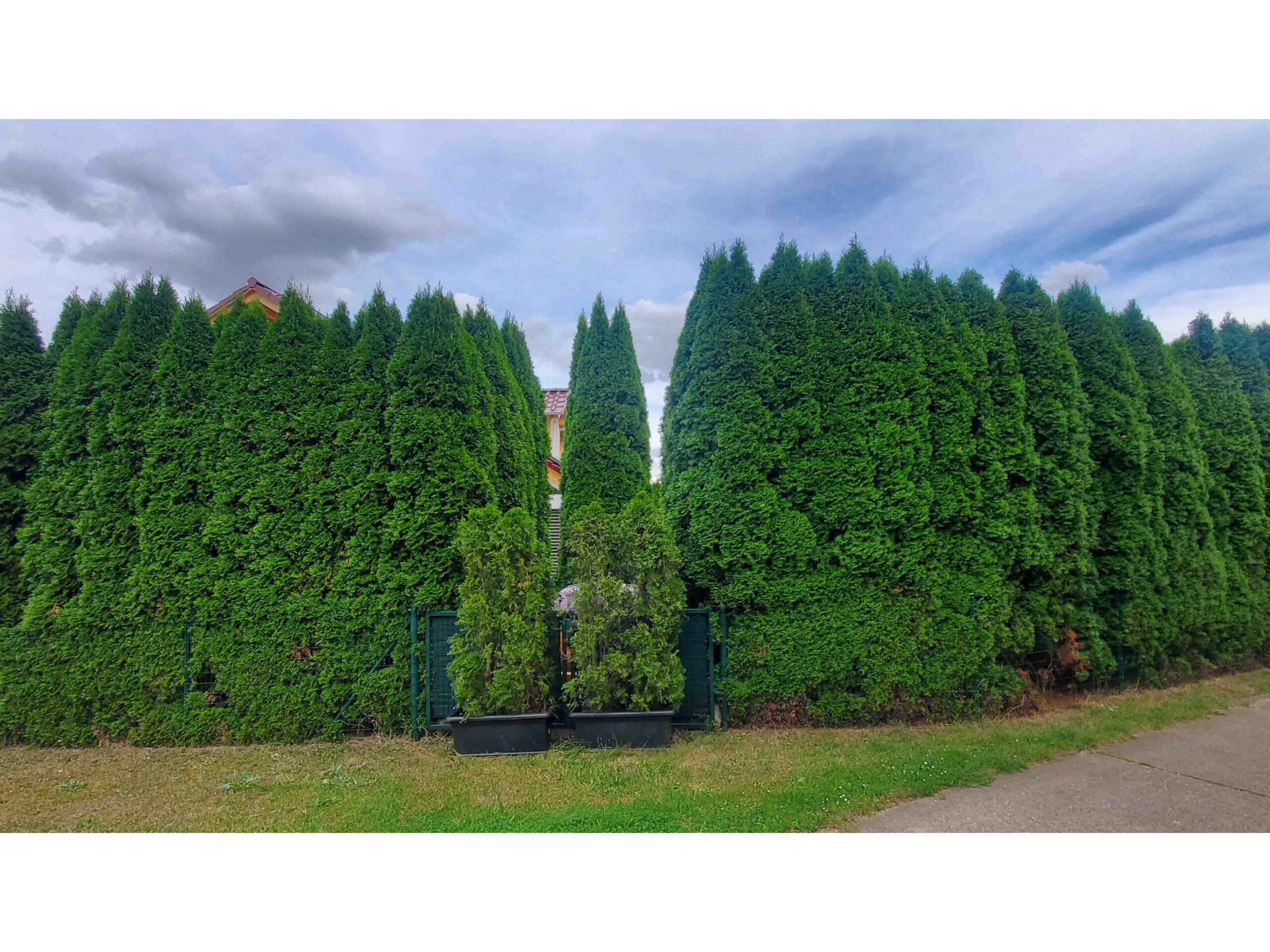 Gera_Lusan_CQuiring_2024_08 (79)_4zu3